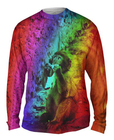 Rainbow Baby Monkey
