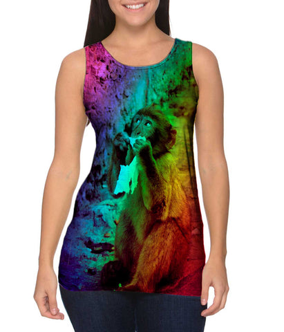 Rainbow Baby Monkey