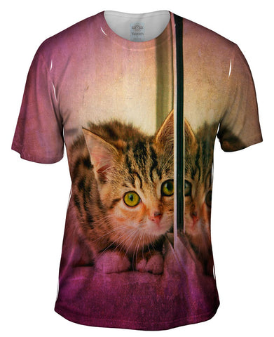 Reflect Kitten