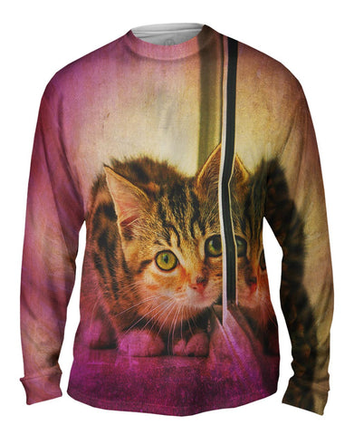 Reflect Kitten