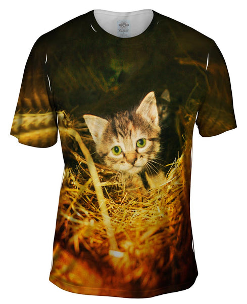 Straw Kitten Mens T-Shirt
