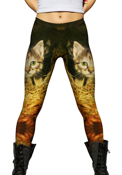 Straw Kitten&nbsp;Womens Leggings