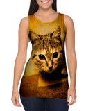 Racer Kitten