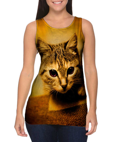 Racer Kitten
