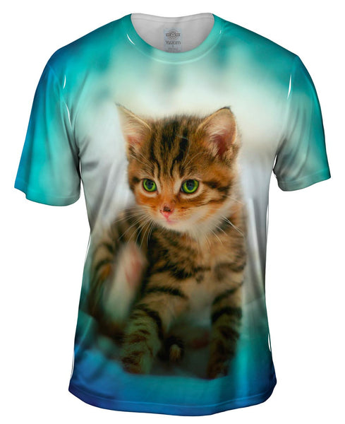 Blues Bed Kitten Mens T-Shirt