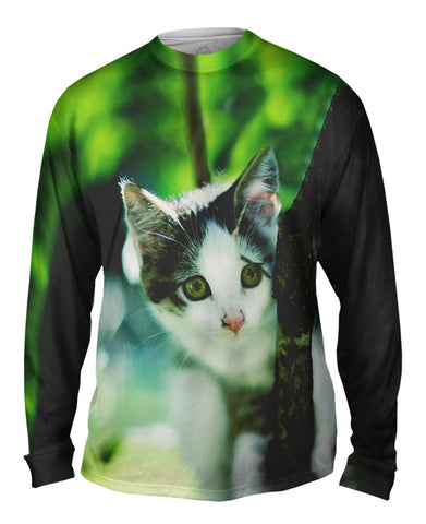 Globe Trek Kitten