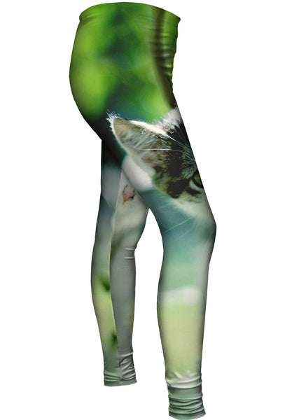 Globe Trek Kitten&nbsp;Womens Leggings