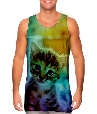 Dory Kitten