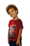 Kids Super Baby Kitten