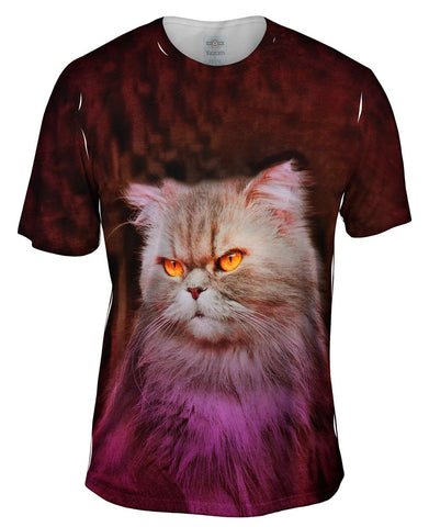 Creepy Kitten