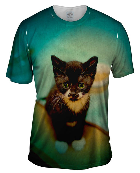 Salem Kitten Mens T-Shirt