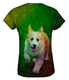 Corgi Run Puppy