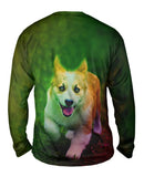 Corgi Run Puppy