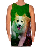 Corgi Run Puppy