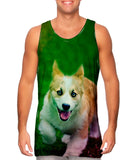 Corgi Run Puppy