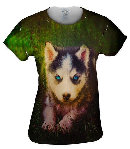 Emo Husky Puppy