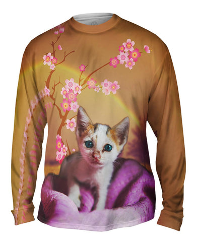 Cherry Blossom Kitten