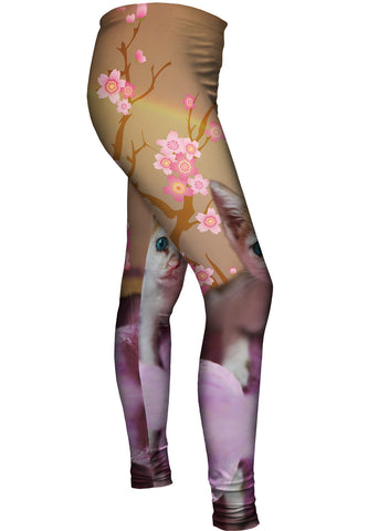 Cherry Blossom Kitten