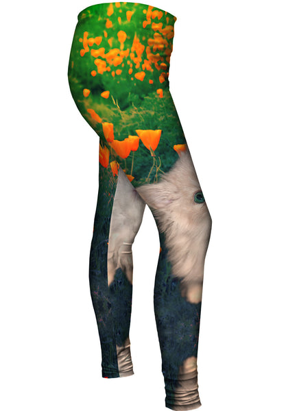 Learning Kitten&nbsp;Womens Leggings