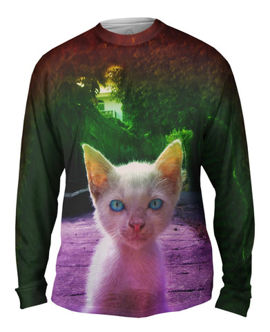 Alley Kitten
