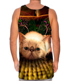 Carpet Exotic Kitten