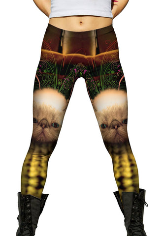 Carpet Exotic Kitten