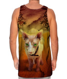 Sandstorm Sphinx Kitten
