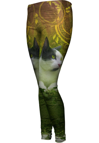 Tropical Jungle Cat