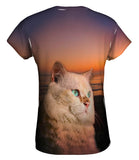 Sunset Persian Cat