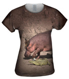 Hippo And Crocodile Walk