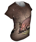Hippo And Crocodile Walk