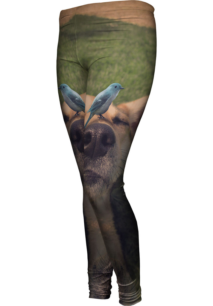 Blue Bird Dog Womens Leggings Yizzam