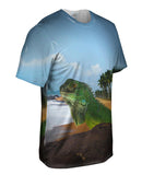 Sun Bath Iguana