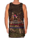 Boxing Kangaroo