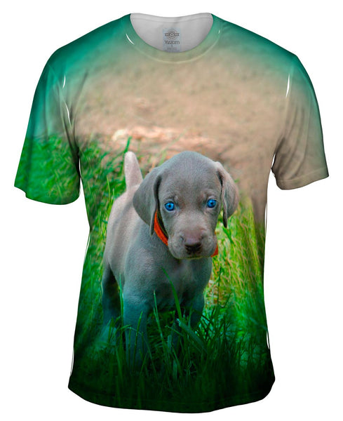 Blue Eye Puppy Mens T-Shirt