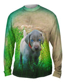 Blue Eye Puppy