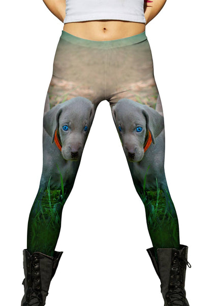 Blue Eye Puppy&nbsp;Womens Leggings