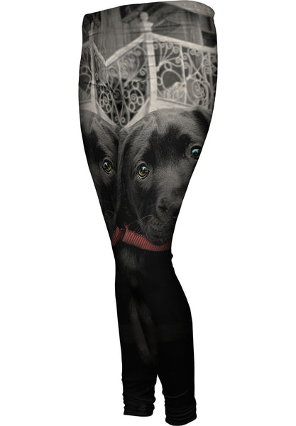 Black Lab Puppy Womens Leggings