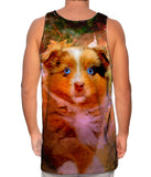 Australian Shepherd Puppy