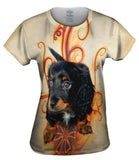 Longhair Dachshund Puppy