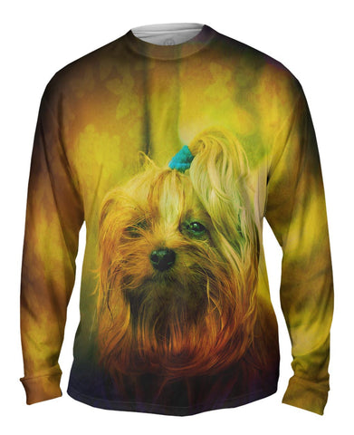 Blink Yorkie Puppy