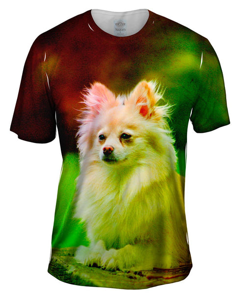 Pomeranian Puppy Mens T-Shirt