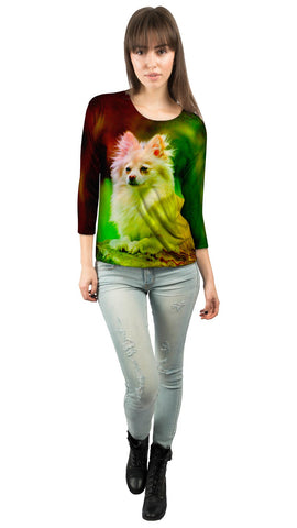 Pomeranian Puppy