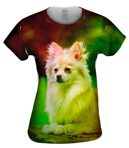Pomeranian Puppy