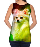 Pomeranian Puppy