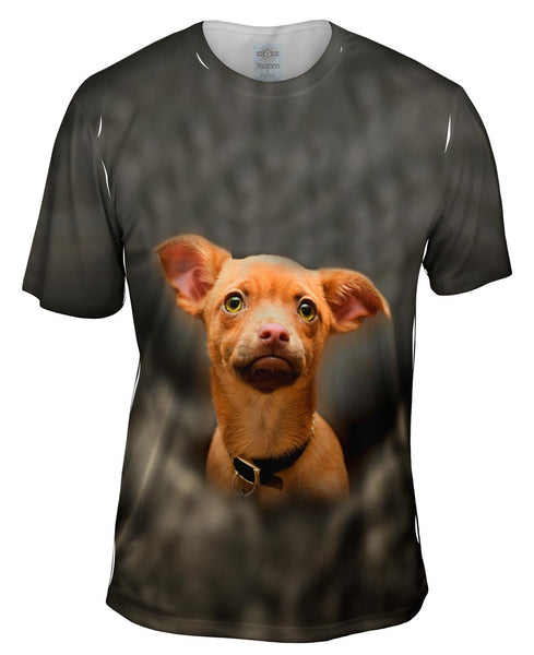 Chihuahua Smoke Puppy Mens T-Shirt