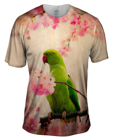 Blossom Parakeet