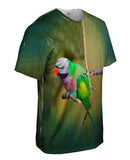 Colorful Derbyan Parakeet