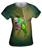 Colorful Derbyan Parakeet