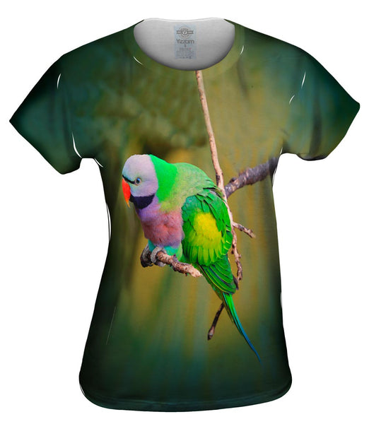 Colorful Derbyan Parakeet Womens Top